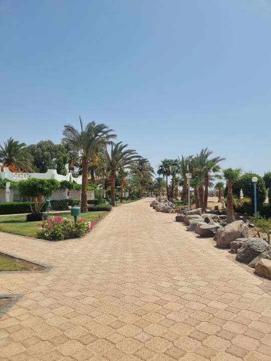 Garten Shams Safaga Resort