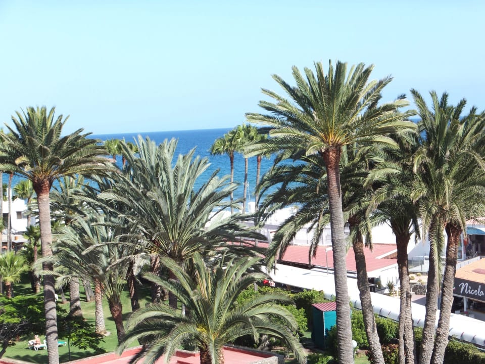 Ausblick Hotel Riu Palace Oasis