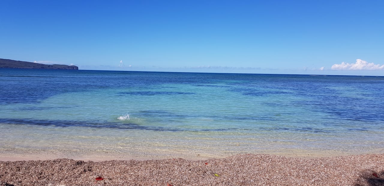 Strand Wyndham Alltra Samana