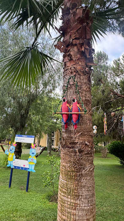 Gartenanlage TUI Magic Life Belek