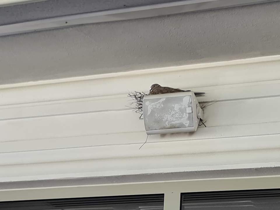 Gastro Royal Atlantis Beach Hotel