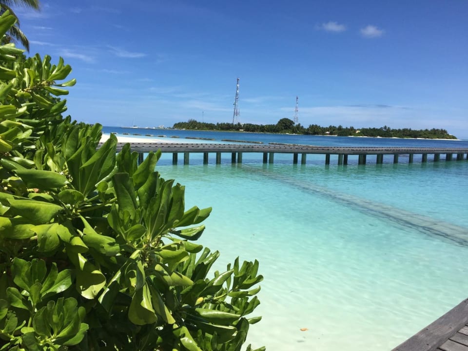Unsere Ankunft - Ein Wow Effect  Kuramathi Maldives