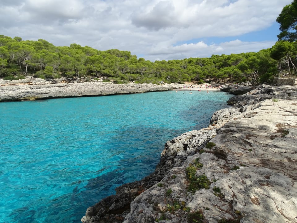 Strand Iberostar Waves Club Cala Barca