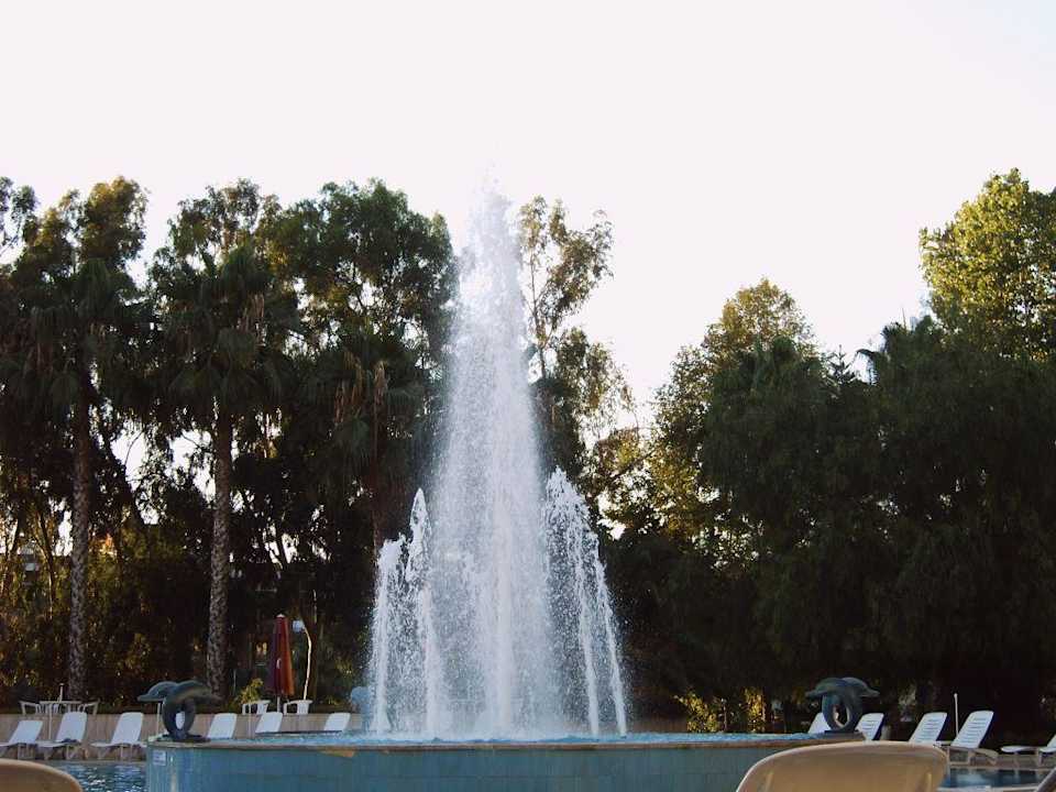Brunnen Top Hotel
