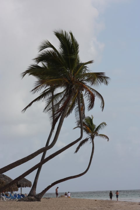 Strand Punta Cana Princess All Suites Resort & Spa
