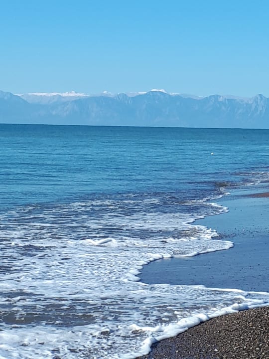 Strand Papillon Ayscha