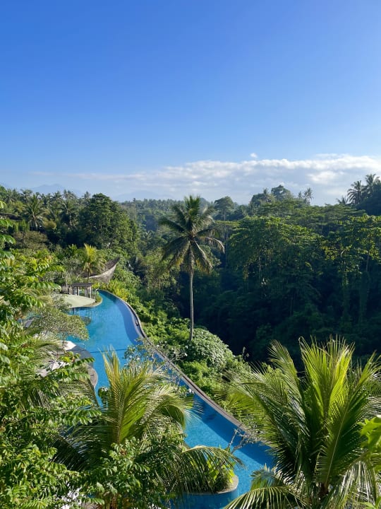 Ausblick The Westin Resort & Spa Ubud, Bali