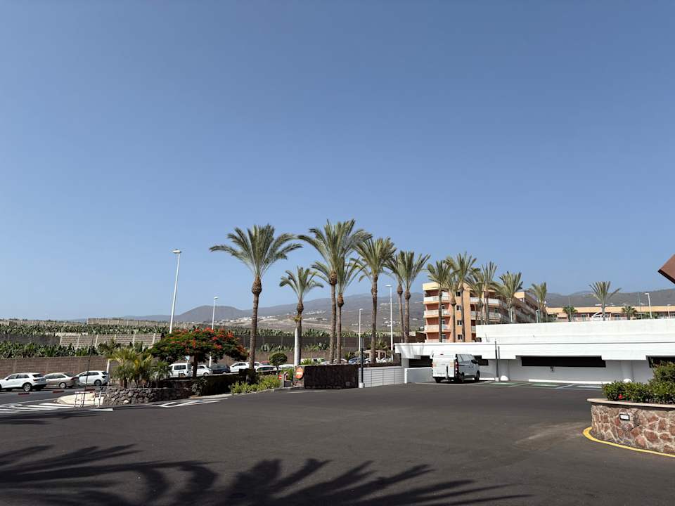 Außenansicht Hotel Riu Buenavista