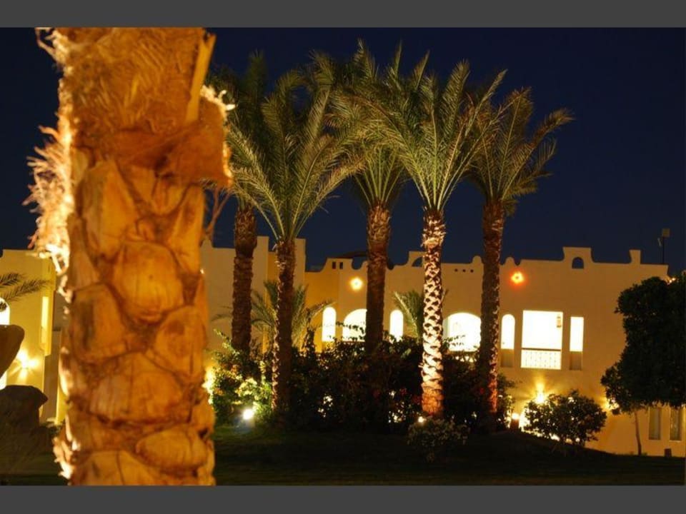Gerten am Abend SUNRISE Royal Makadi Resort