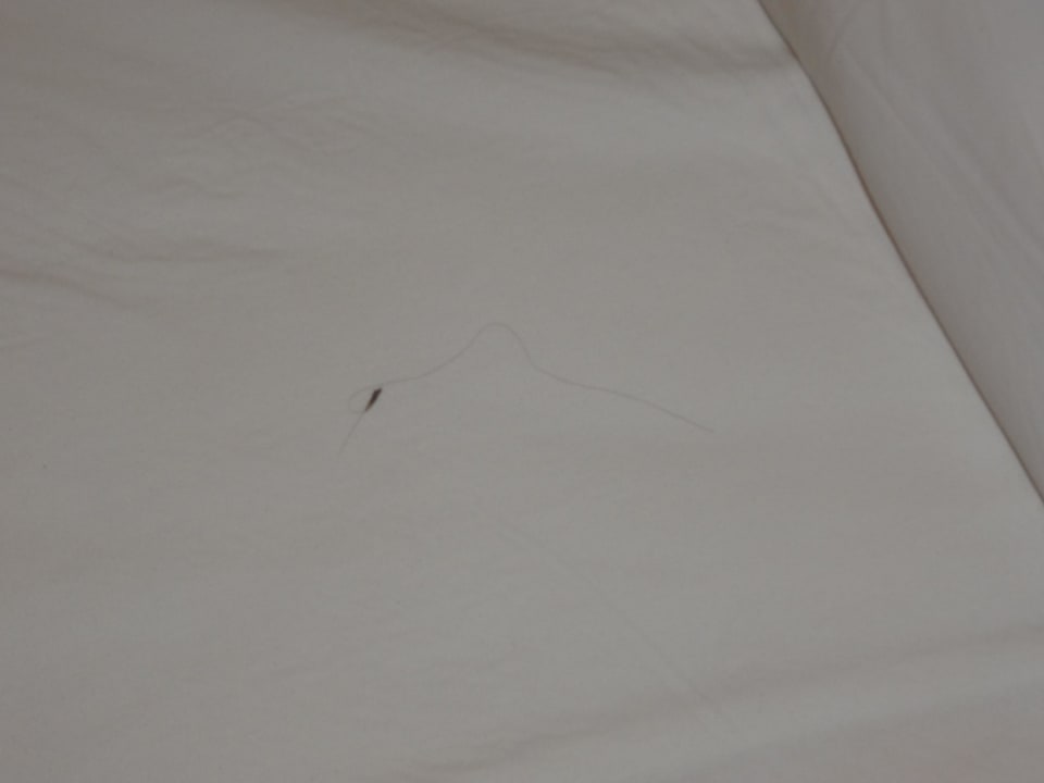 Bettwasche Nour Palace Resort & Thalasso