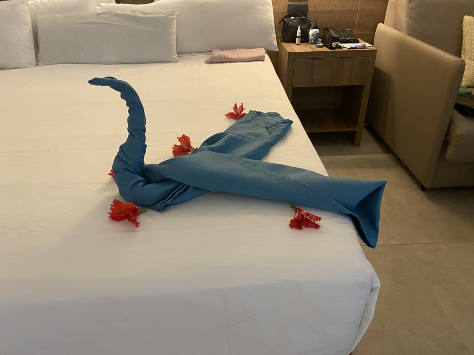 Zimmer Serenade Punta Cana Beach & Spa resort