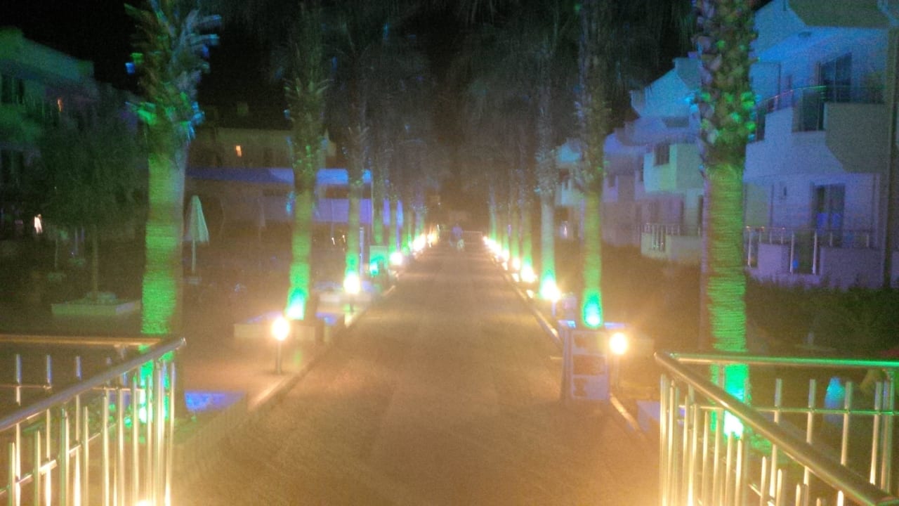 Prime Family Club bei Nacht Dream Family Club