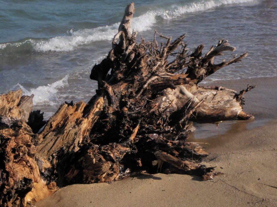 Legte in 2 Wochen 200 Meter am Strand zurück Sol Luna Bay
