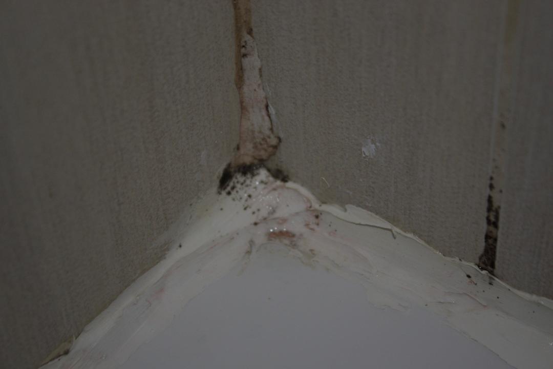 Schimmelbefall in der Dusche Flacalco Hotel & Apartments