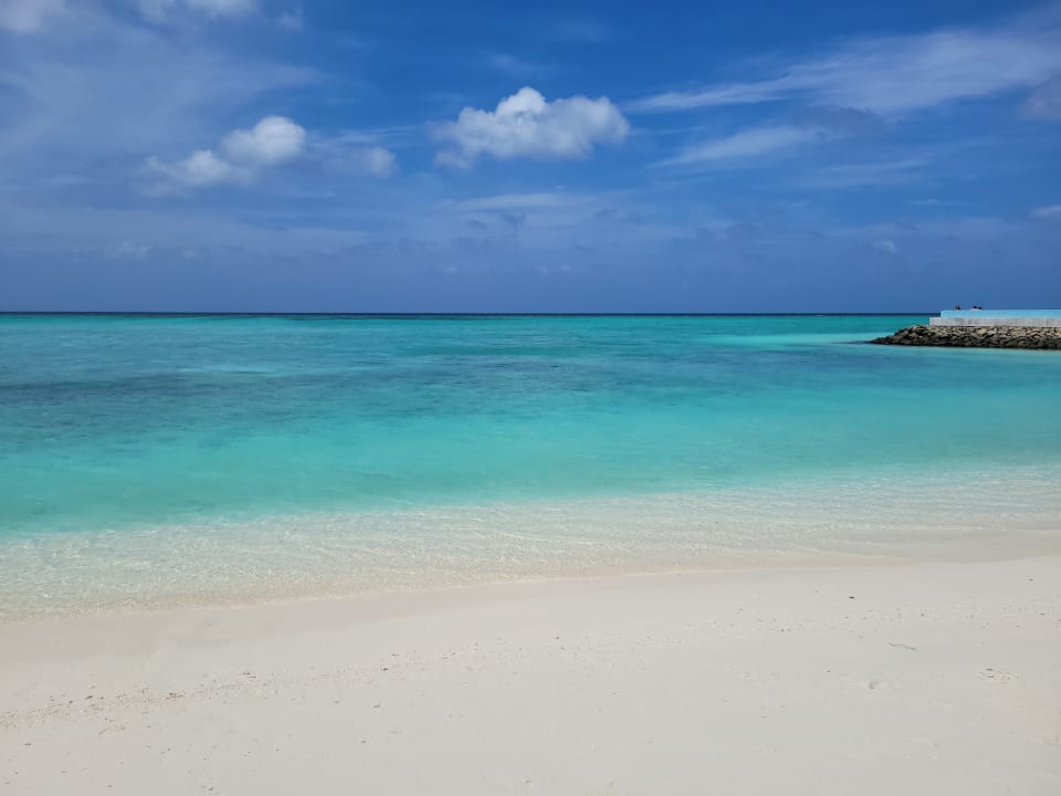 Strand Summer Island Maldives