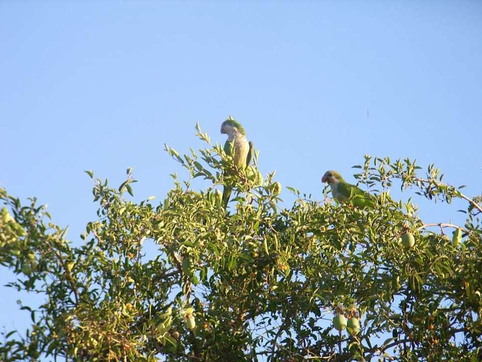 Auf der Estancia Hotel Estancia La Cinacina