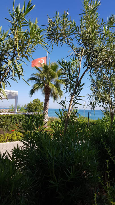 Gastro Club Sidelya Hotel