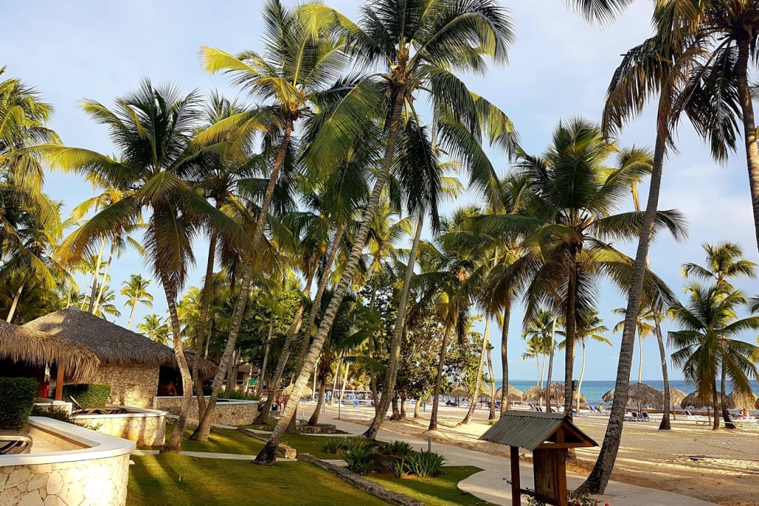 Strand Hotel Viva Dominicus Beach by Wyndham - All Inclusive Resort