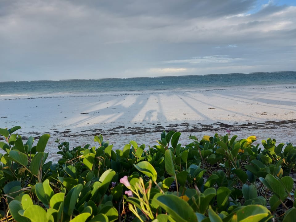 Strand Hotel Diani Sea Lodge