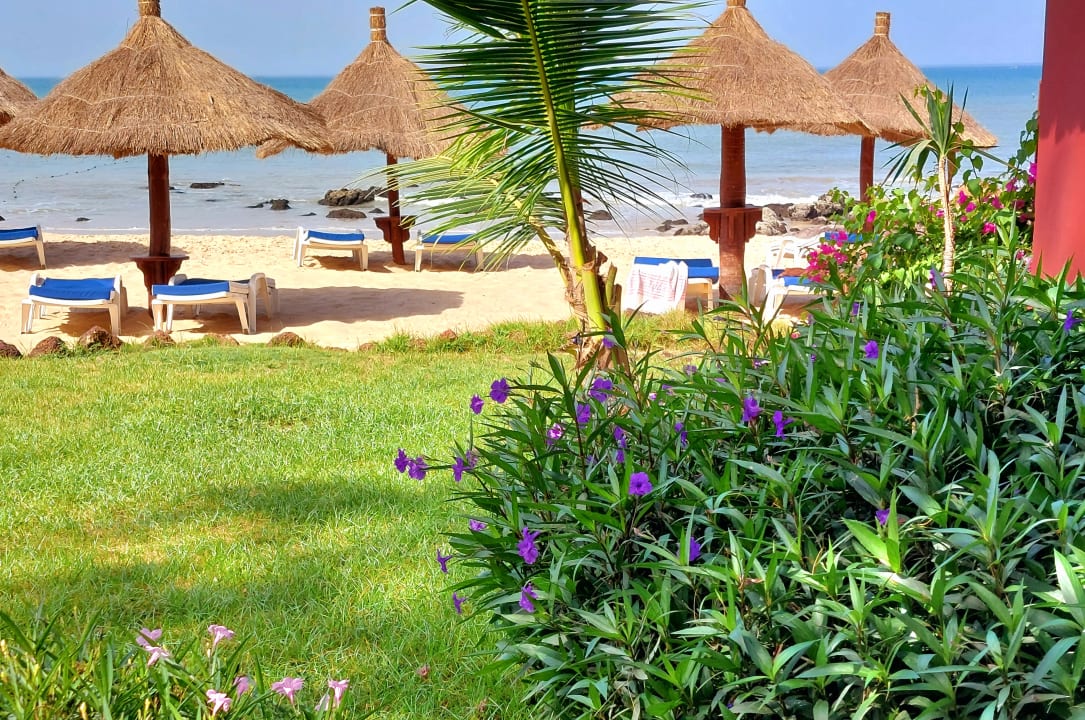 Strand Royal Horizons Baobab