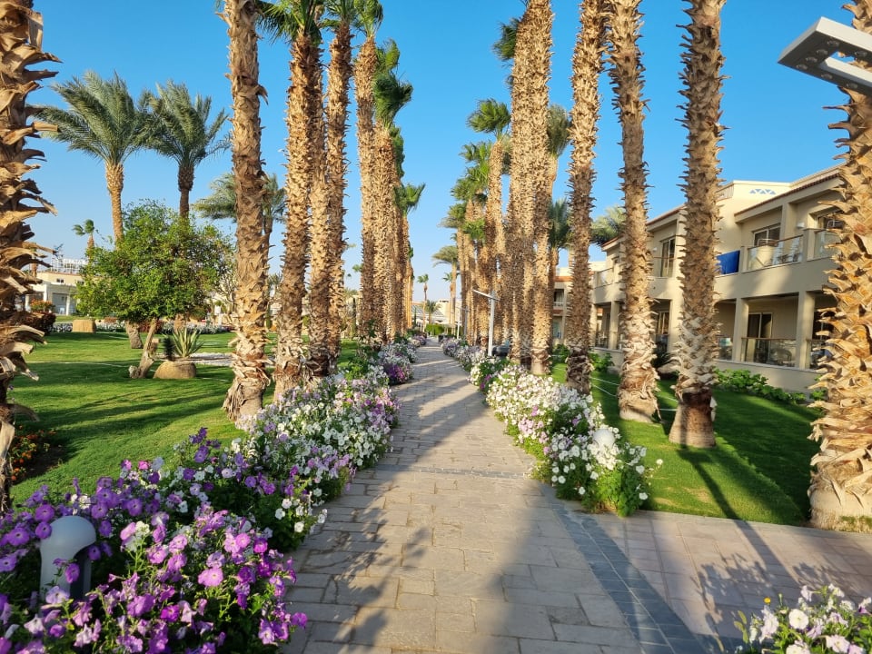 Außenansicht Beach Albatros Resort