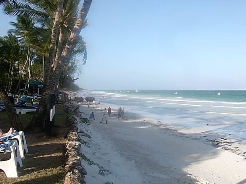 Flut Hotel Safari Beach