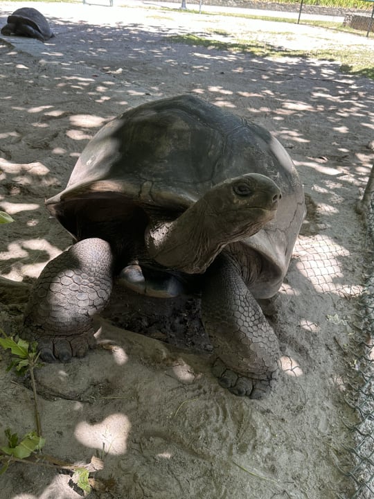 Sonstiges Constance Ephelia