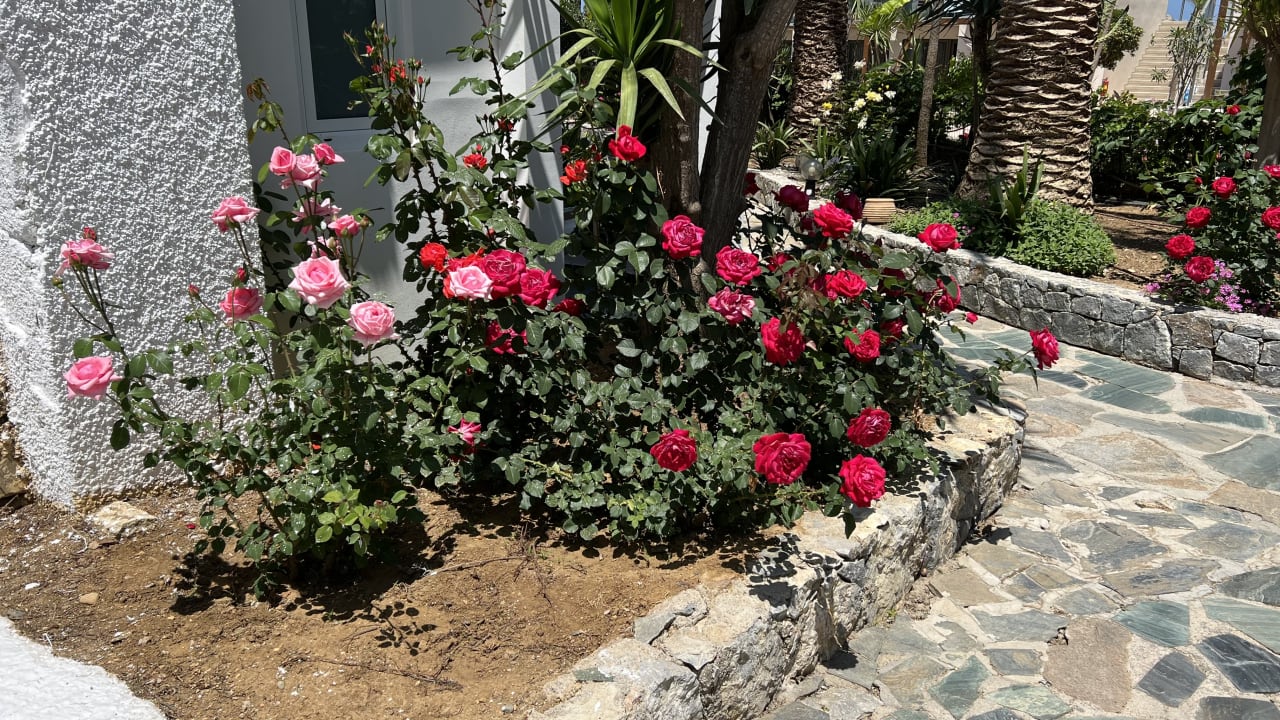 Gartenanlage HARPIN Happy Days Beach Hotel