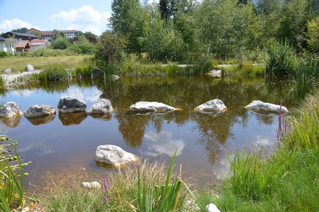 Gartenanlage Hotel FrohNatur