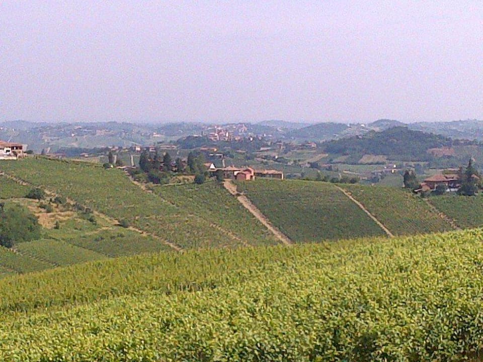 Blick in die Rebberge Agriturismo La Casa in Collina
