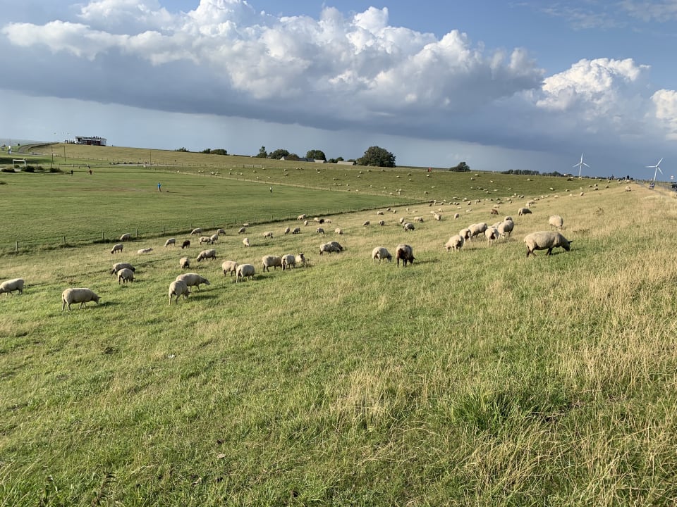 Ausblick Center Parcs Park Nordseeküste