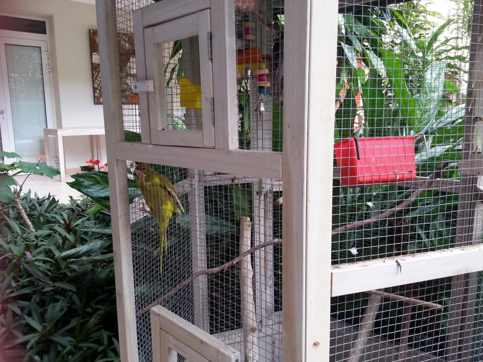 Tierchen Hotel La Pagerie Trois Ilets