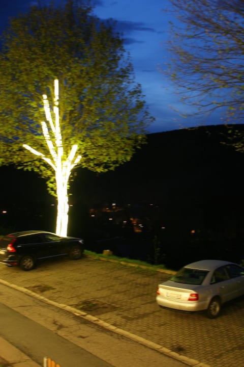 Leuchtender Baum am Parkplatz Berghotel Talblick