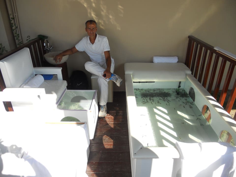 Therapiefische Hotel Grand Side