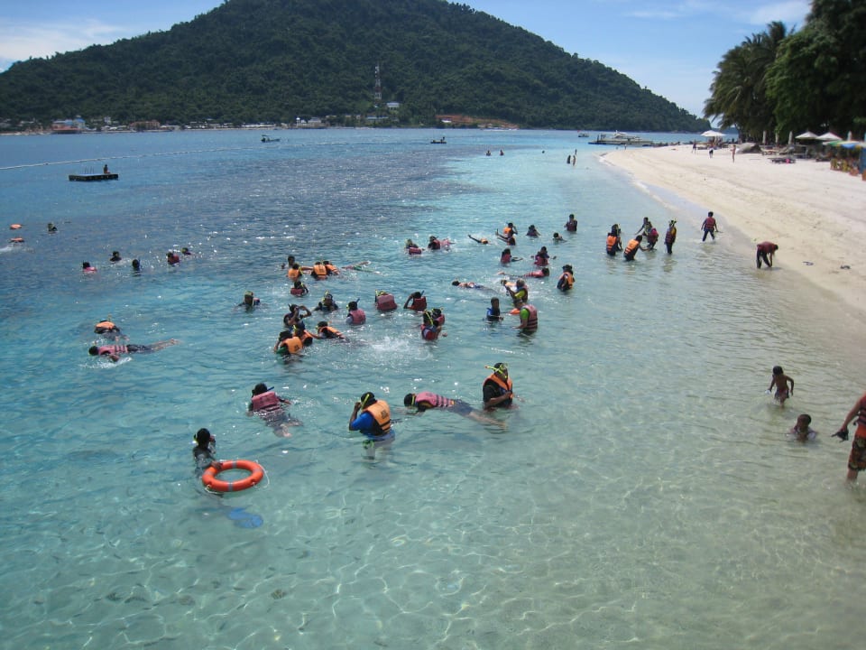Die Schnorchler kommen Perhentian Tuna Bay Island Resort