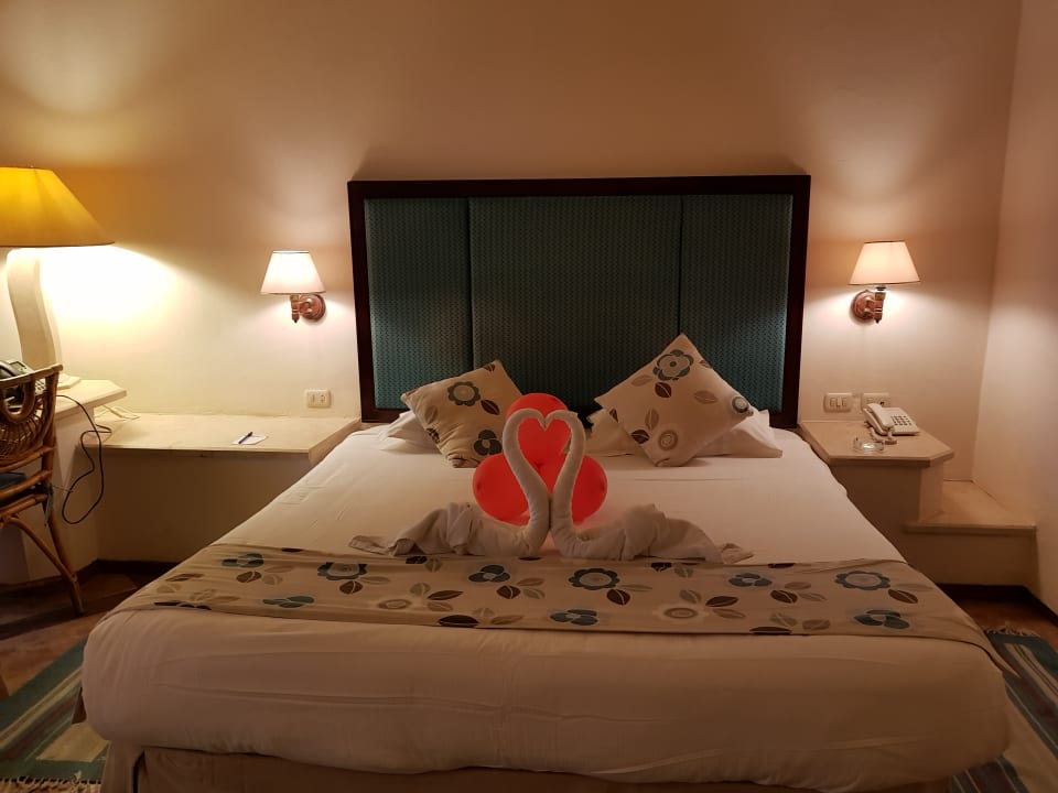 Zimmer Pickalbatros Citadel Resort