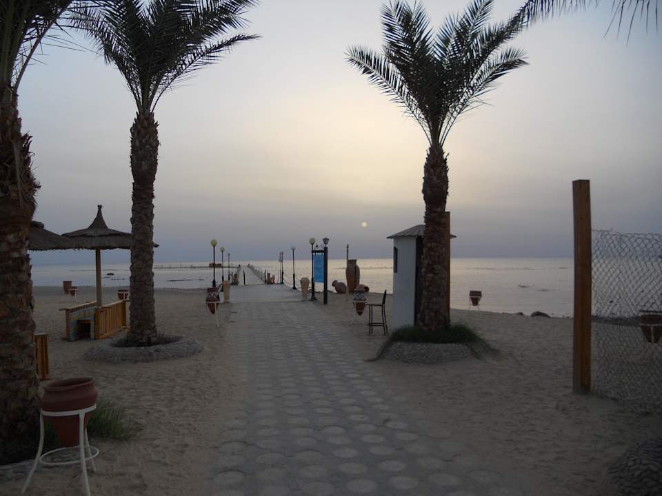 Sonnenaufgang Pickalbatros Palace Resort