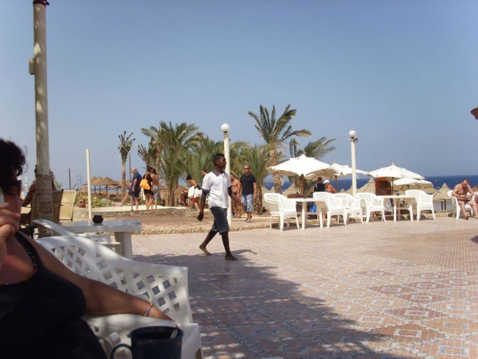 Terrasse der Strandbar Serenity Alpha Beach