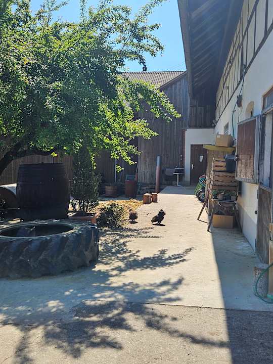 Gartenanlage Ferienhof Schwehr