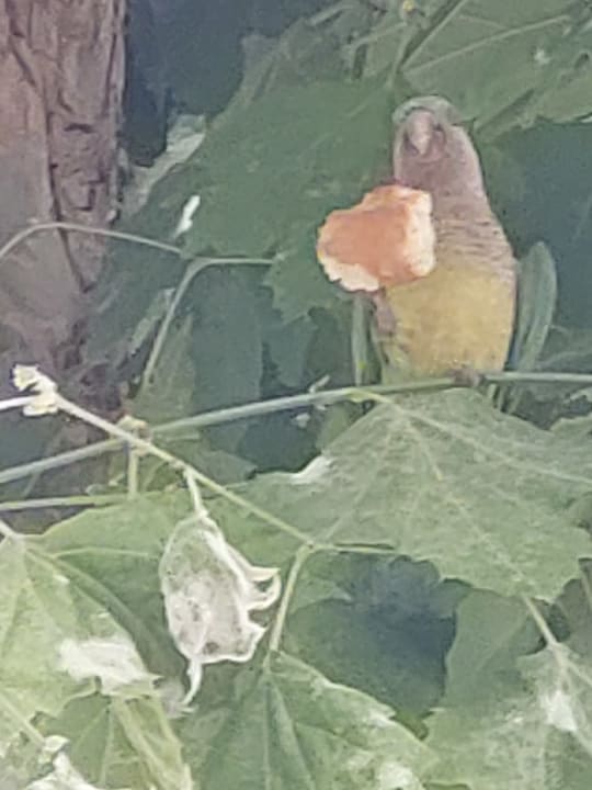 Sonstiges AQUA Hotel Onabrava & Spa