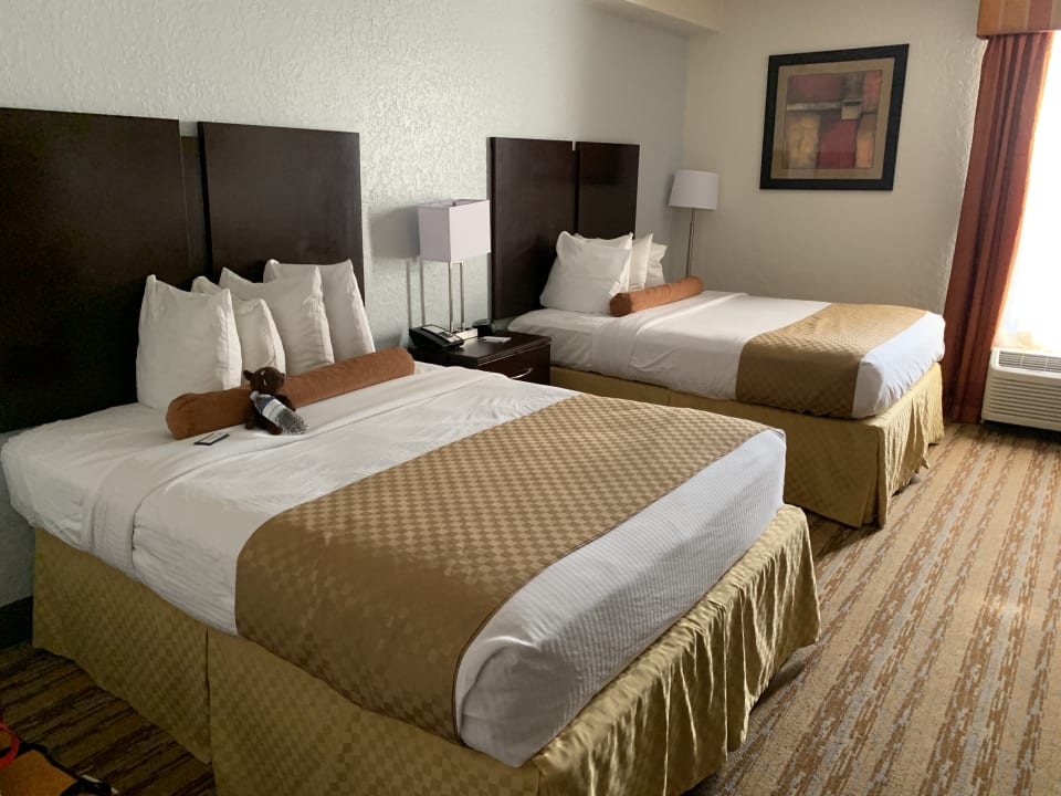 Zimmer Best Western Plus Hotel Universal Inn