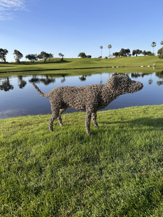 Sonstiges ROBINSON QUINTA DA RIA
