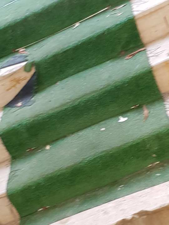 Sonstiges Hotel Ideal Beach