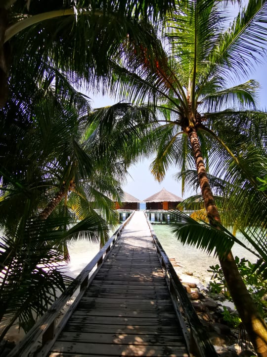 Gartenanlage Kuramathi Maldives