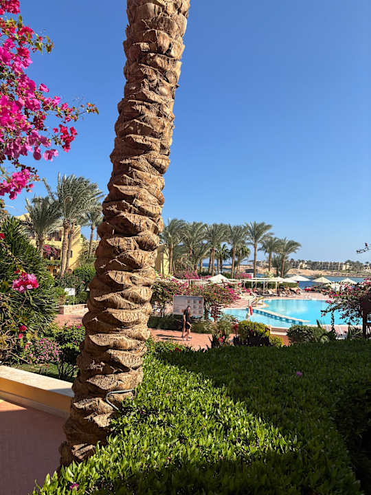 Pool Steigenberger Coraya Beach - Adults only