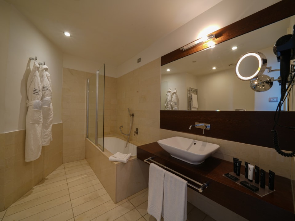 Zimmer Pisa Tower Plaza