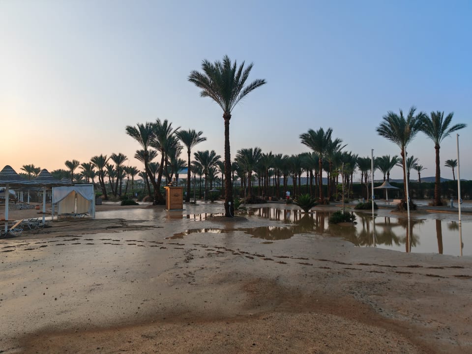 Strand Steigenberger Coraya Beach - Adults only