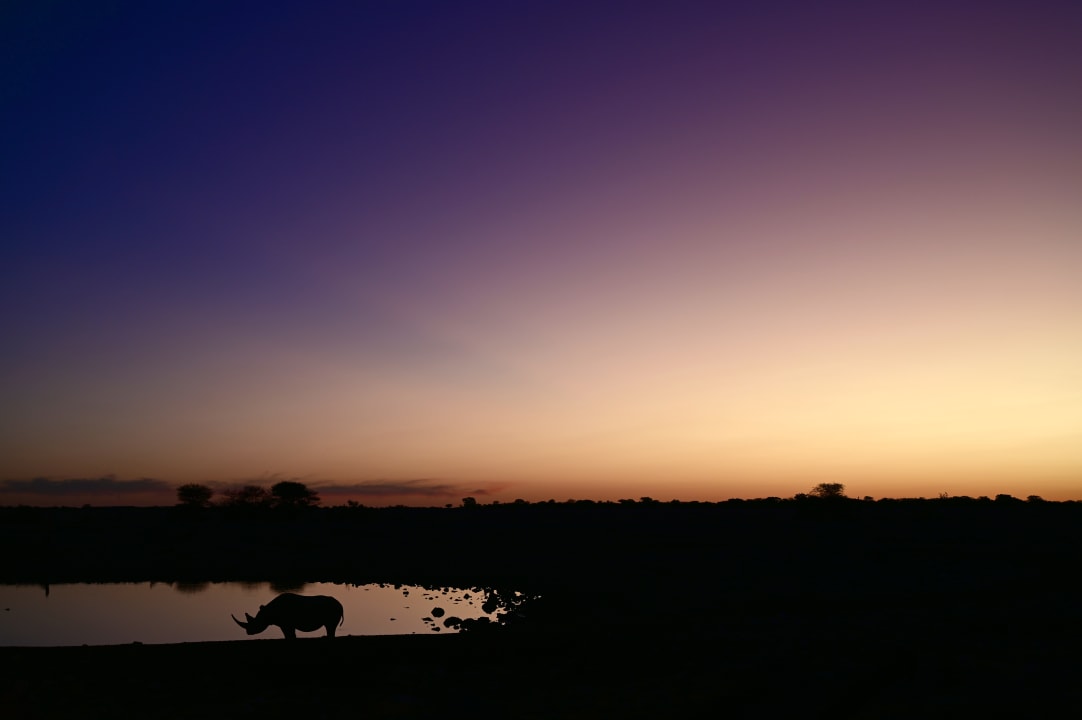 Ausblick Okaukuejo Camp