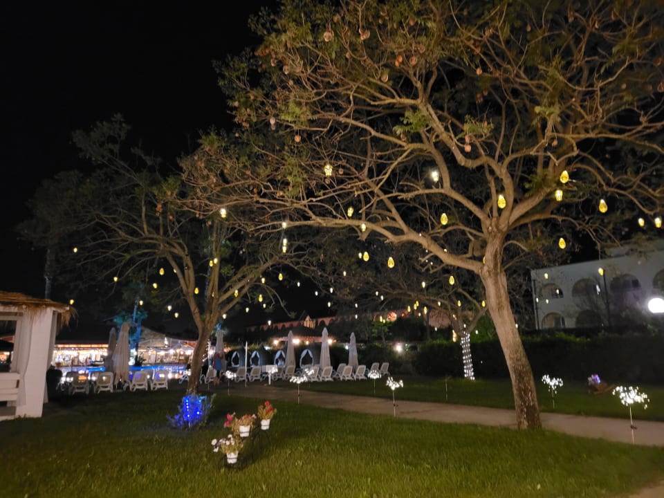 Gartenanlage TUI MAGIC LIFE Calabria