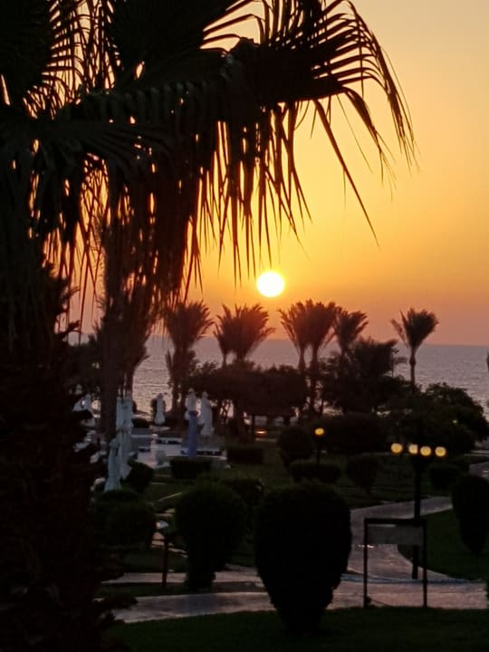 Ausblick Serenity Alpha Beach